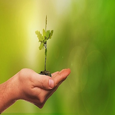 Sistema de Gestão Ambiental